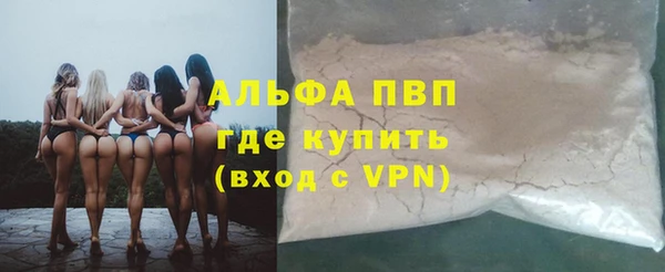 гашик Сосновка