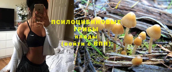 гашик Сосновка