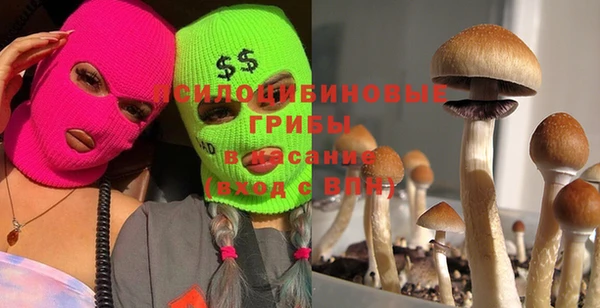 мет Баксан