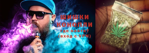 гашик Сосновка