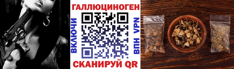 Галлюциногенные грибы Cubensis  цена наркотик  Гдов 